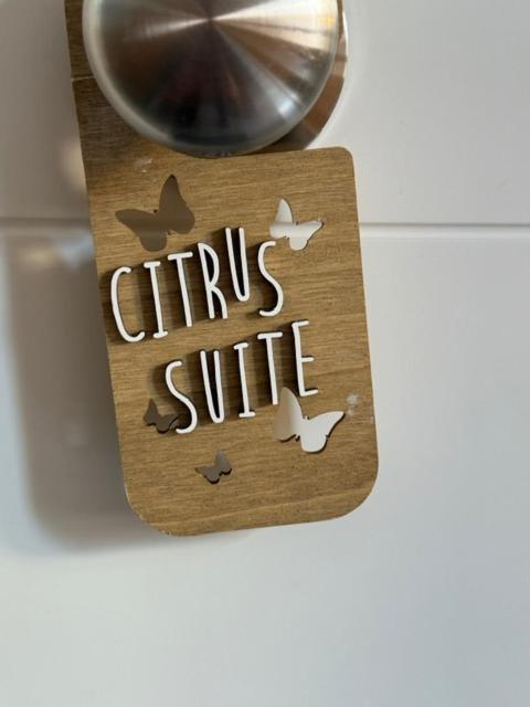 Citrus Suite By Alhaurin Loft City Center Алаурін-де-ла-Торре Екстер'єр фото