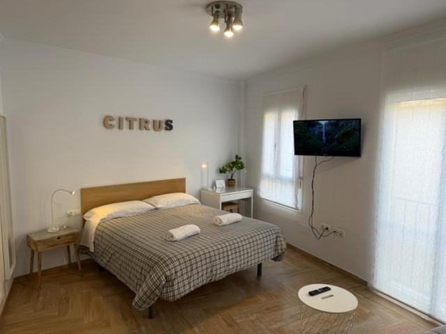 Citrus Suite By Alhaurin Loft City Center Алаурін-де-ла-Торре Екстер'єр фото